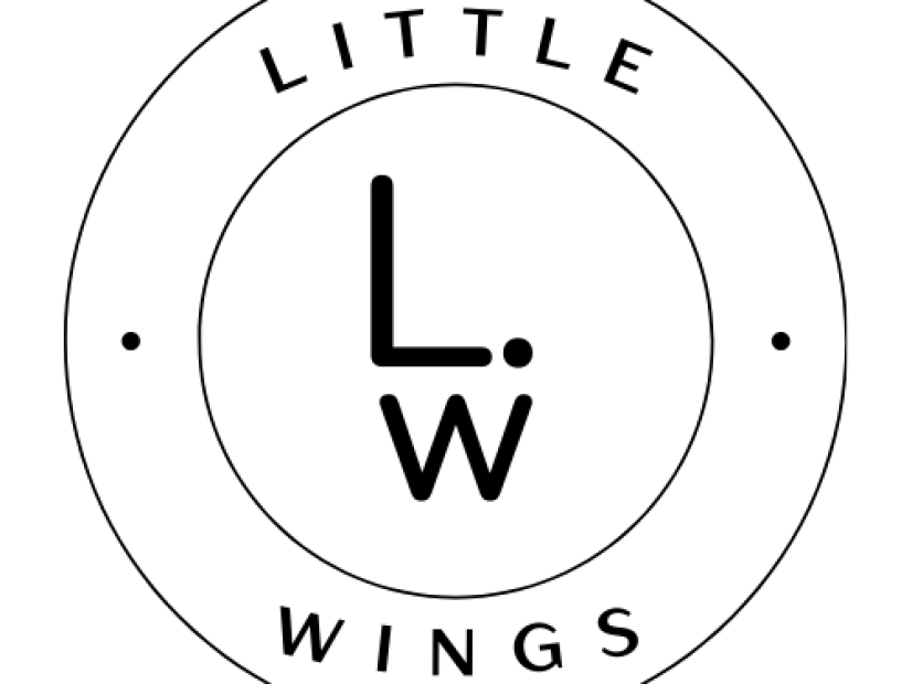 Illus - LITTLE WINGS